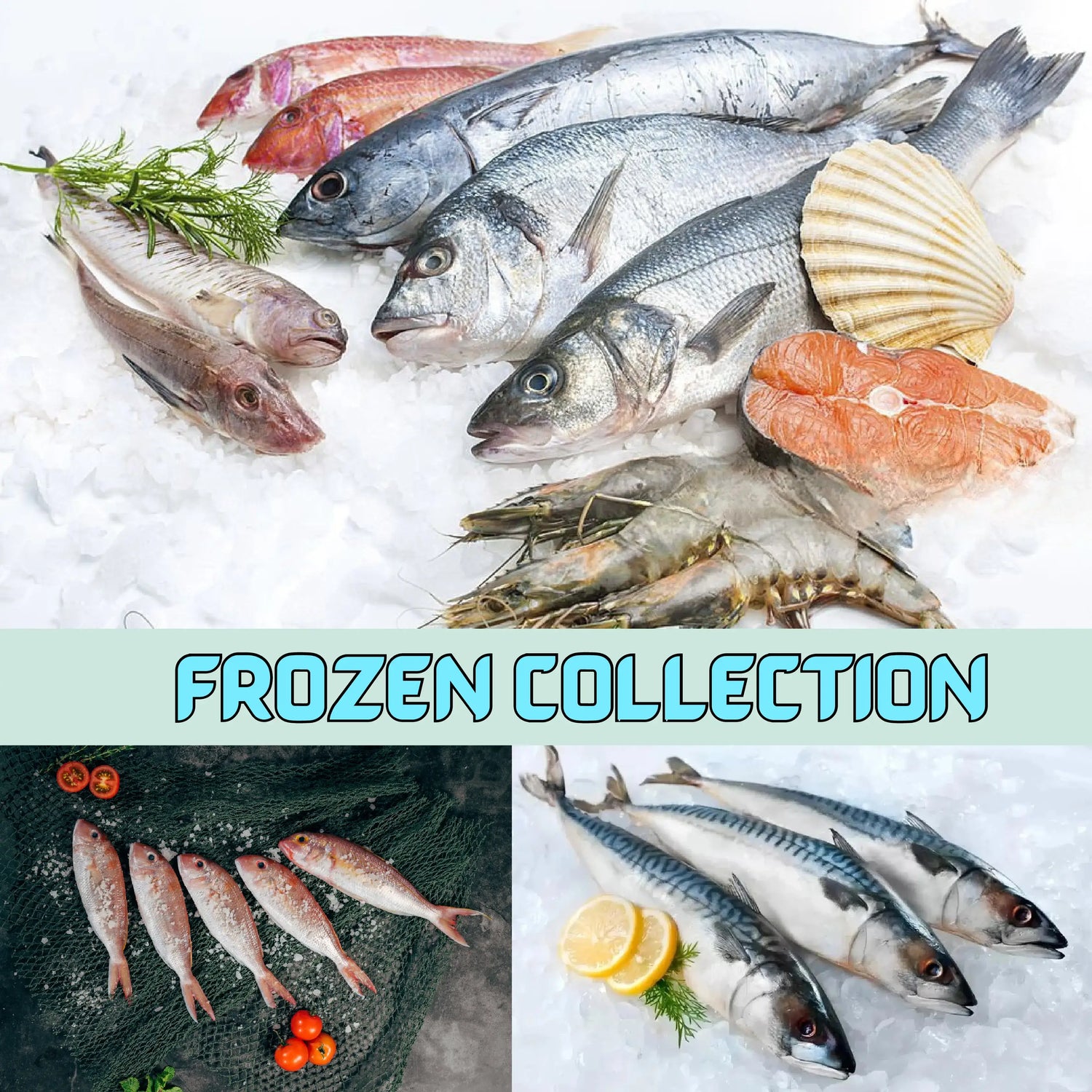 Frozen hub collection - Oishii foods